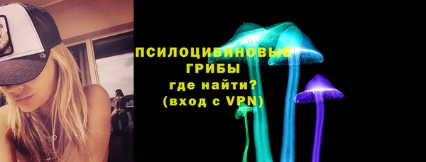 стафф Белая Холуница
