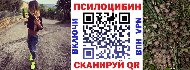 Галлюциногенные грибы прущие грибы  хочу   mega зеркало  Аргун 